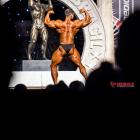 Vitaly  Fateev - IFBB Arnold Brasil  2016 - #1